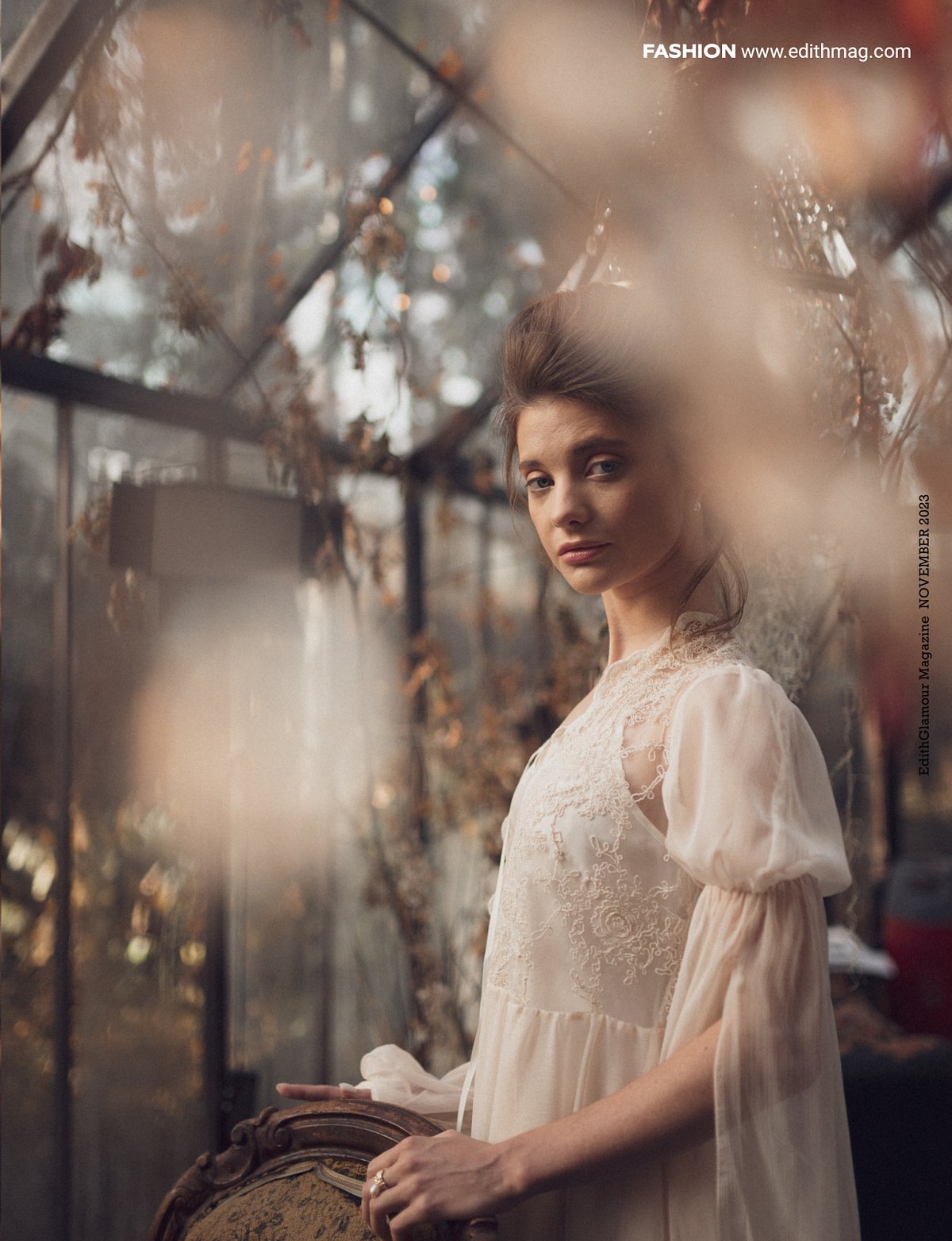 Quiet Beauty