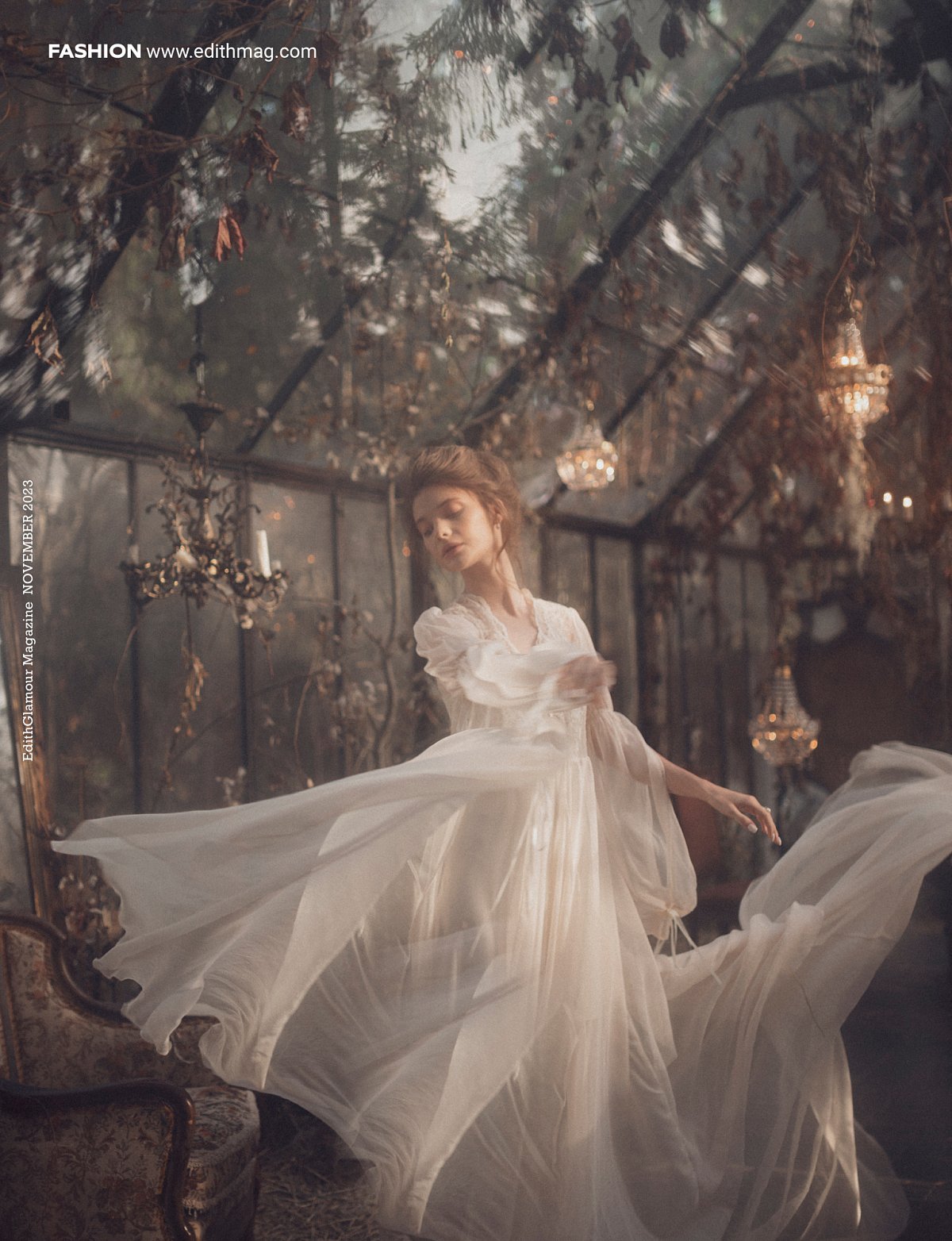 Quiet Beauty